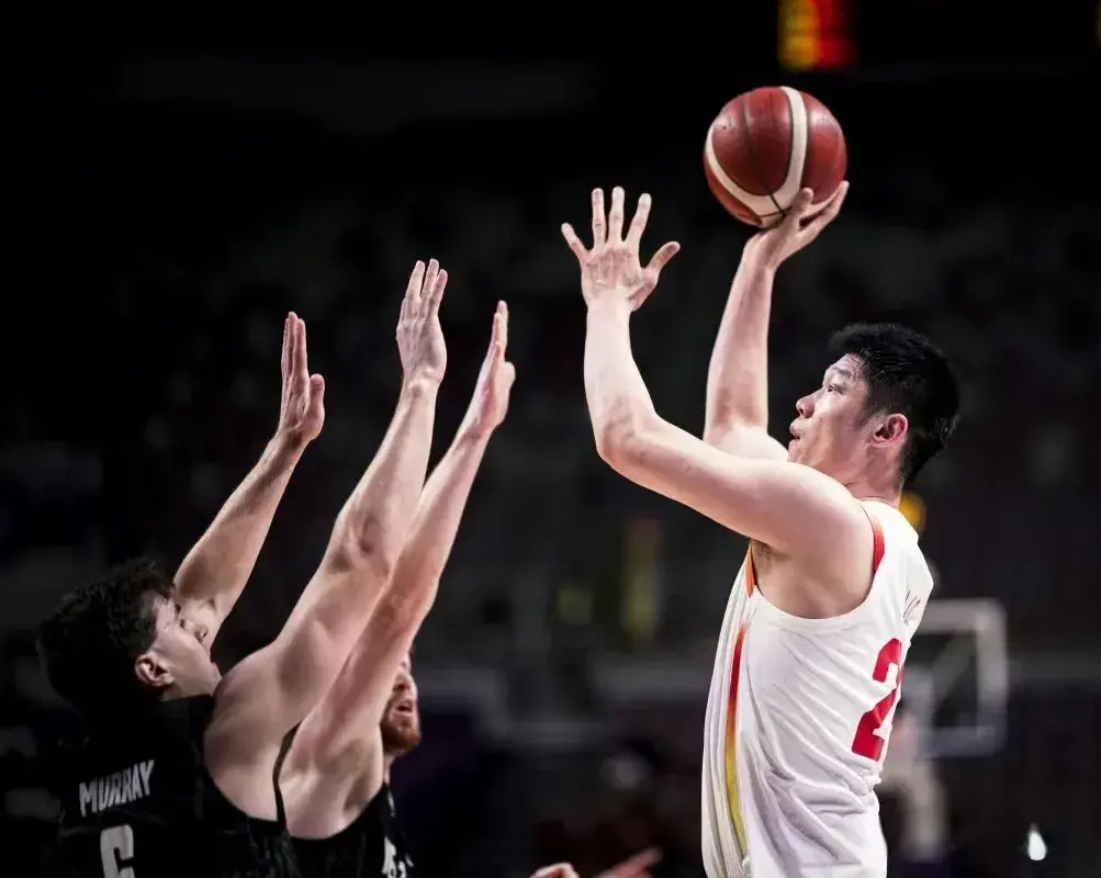 分析师, img, 天都坐在房